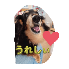 nina_20250324154011