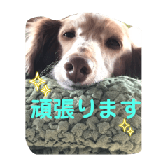 MAO_20250324100628