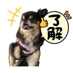 Moka_20250324102206
