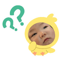 hachi_20250324115420