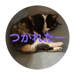 Chihiro_20250324122750