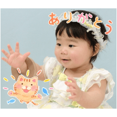 nori_20250324135227