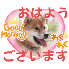 keiko_20250324200855