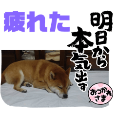 keiko_20250324203354