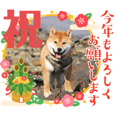 keiko_20250324224021