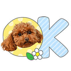 StampNo:5053