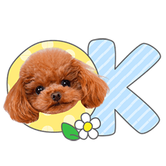 StampNo:5073