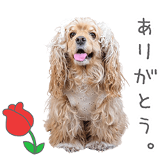 StampNo:5067