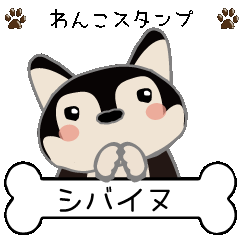 shibainu (Black 2)part1