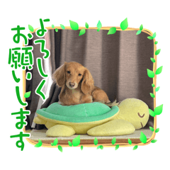 yasu_20250324183125