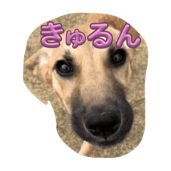 Hana_20250324202934