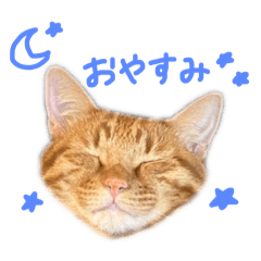 bun_20250324165054