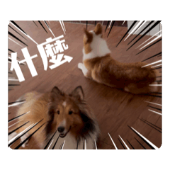 超基喜歡：：Summer&Star