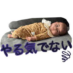 maple_20250324203612