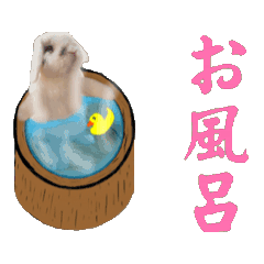 KK_20250324154949