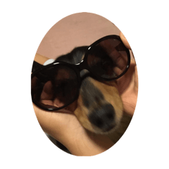 KAZUKI_20250324172428