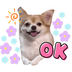 COCO_20250324172332