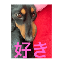 miki_20250324184622