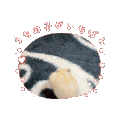 keiko_20250324193616