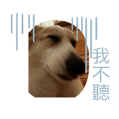 狗生難