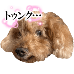 haru_20250324194345