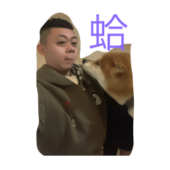 柏旺旺旺旺旺