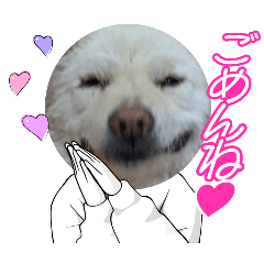 Tokiha_20250324214026
