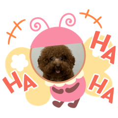 常貼