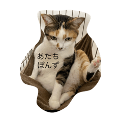 ponzu_20250324175355