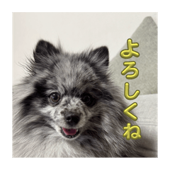 go_20250324214039