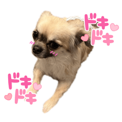 choco_20250325065629