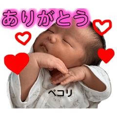 maki_20250325070211