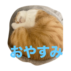 mana_20250324210506