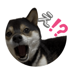 CHIHIRO_20250324210609