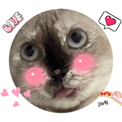 Jackiecl