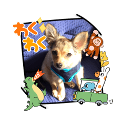 wakana_20250325013209