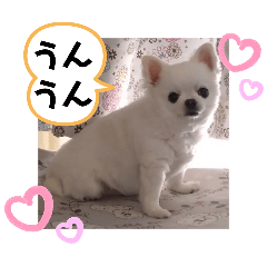 hitomi_20250325015732