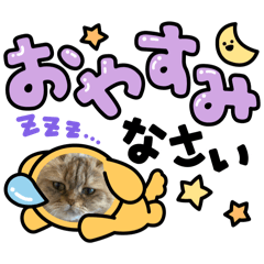 ai_20250325083818
