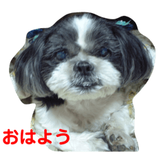 masa_20250325074248