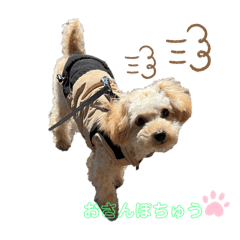 misaki_20250325085451
