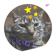kuroHELLO