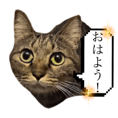 mori_20250325114825