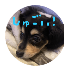 Abcdefg_20250325115218