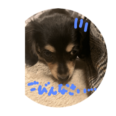 Abcdefg_20250325001207