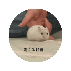 銀河殲滅者動畫表情包