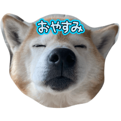 Sato_20250324232410