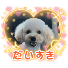 cocoa_20250324223412