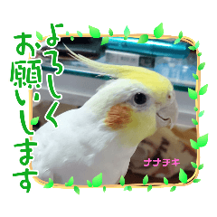 ryota_20250325111528