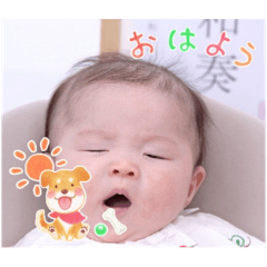 wakana_20250315