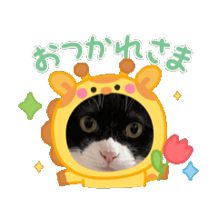 YAMA_20250325131533